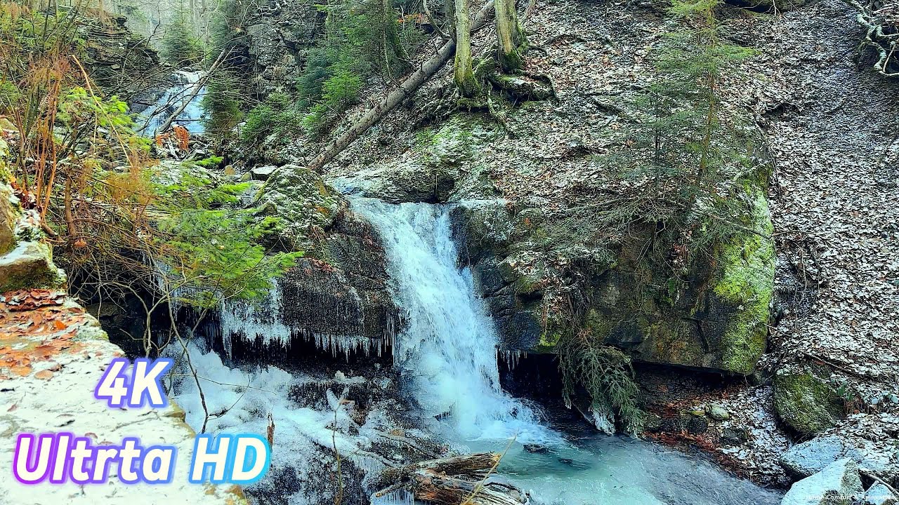4K Nature Ambience 🌲 Mountain Forest River | White Noise for Sleep (8 Hours) #nature #relaxing #