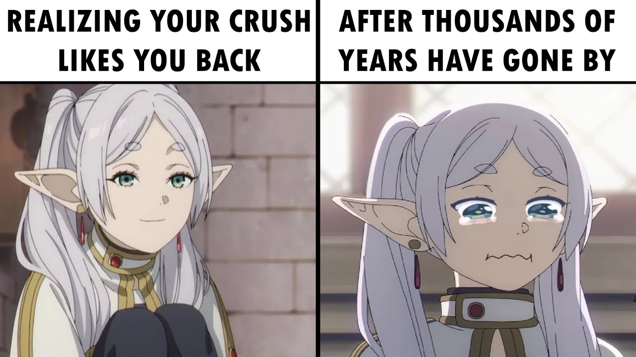Frieren: Beyond Journey's End | Memes 6