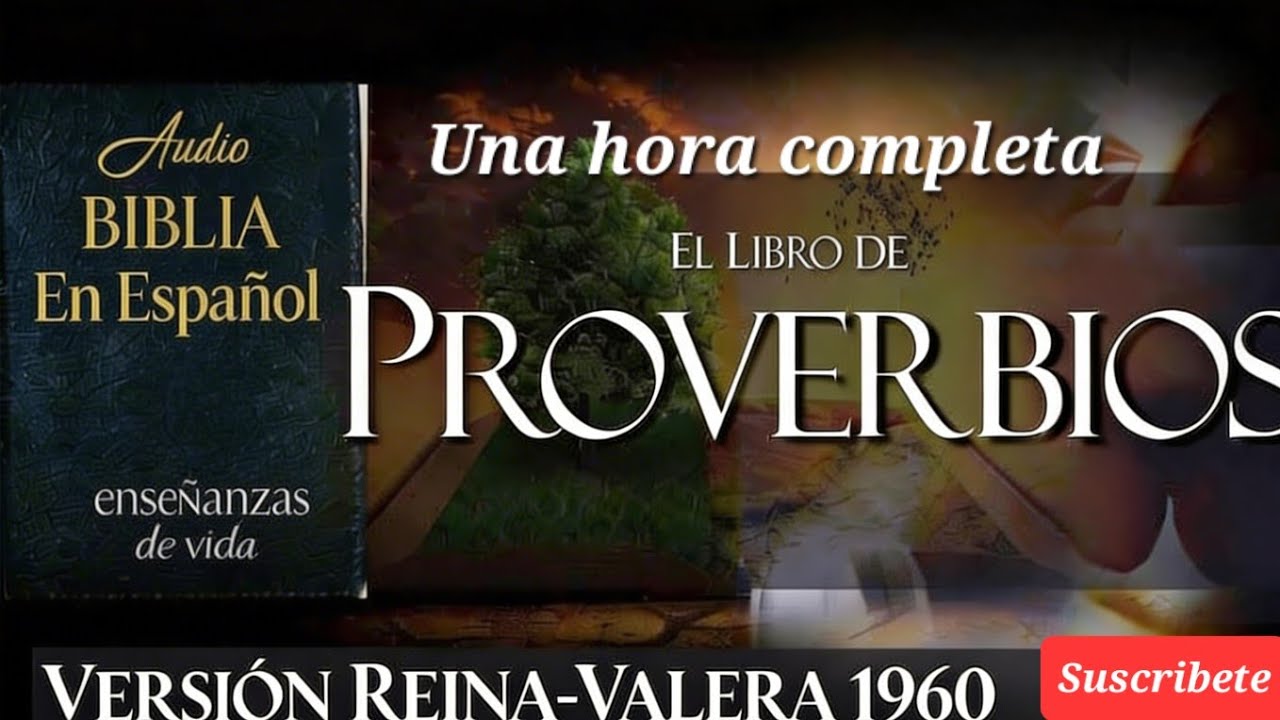 Libro de Proverbios Una hora completa escuchando consejos sabios de la Santa Palabra de Dios #biblia