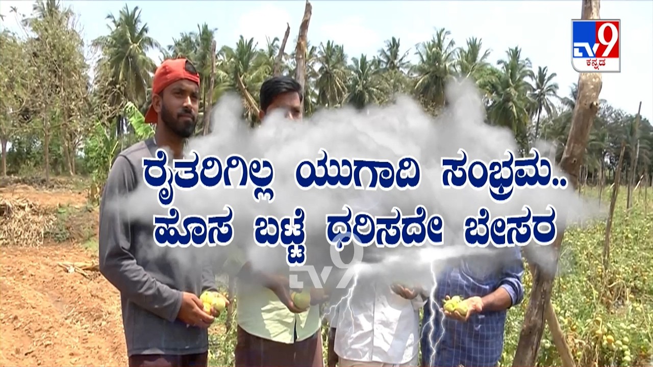 Karnataka Rainfall: ನೆಲಕ್ಕೆ ಉರುಳಿದ ಪಪ್ಪಾಯಿ,ಬಾಳೆ ಅಡಕೆ, ಟೊಮ್ಯಾಟೋ, ದಾಳಿಂಬೆಯೂ ಹಾನಿ