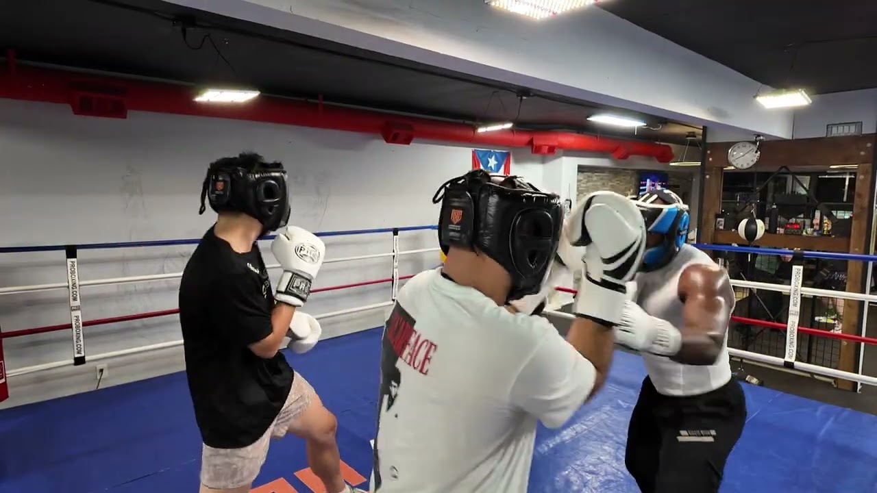 3.4.26 Boxing | Sparing