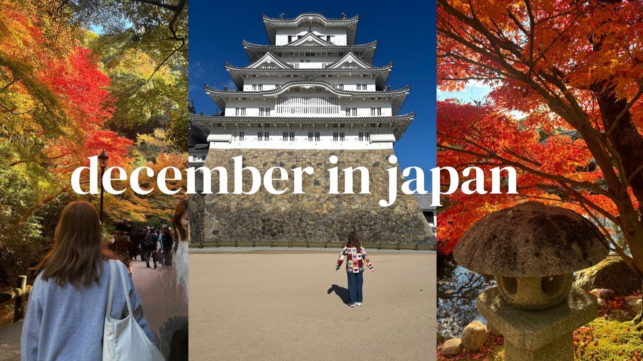 a december vlog: himeji castle, christmas markets, autumn !!