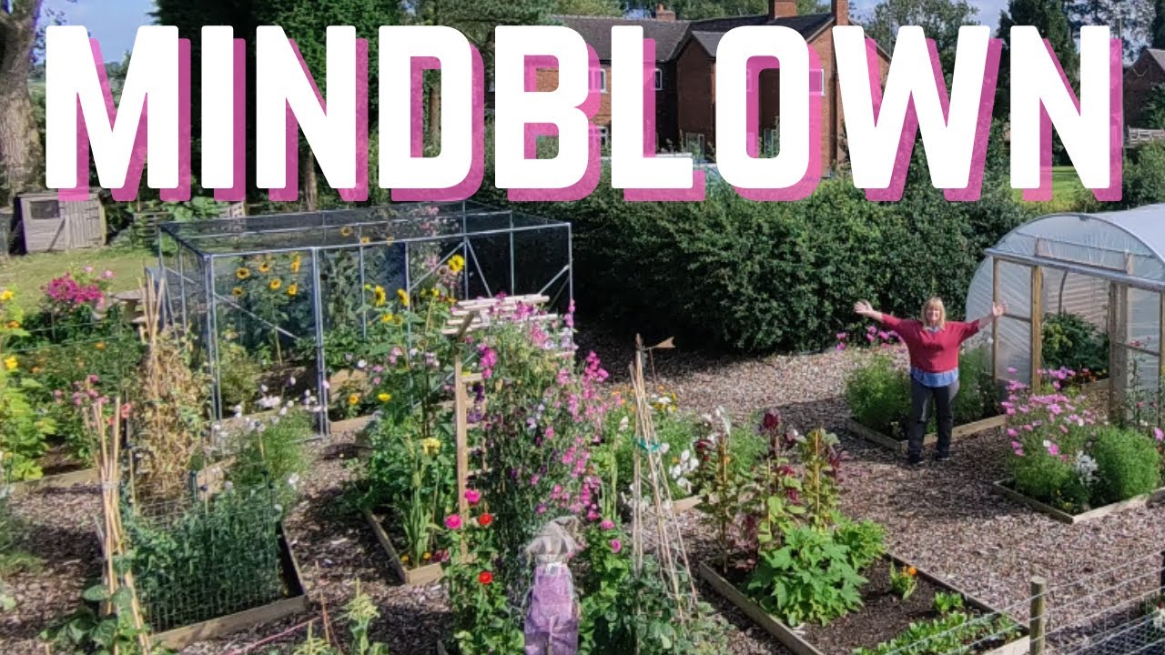 Late August Plot Tour | Vegetable Garden | Epic Harvests | Devastating Loss