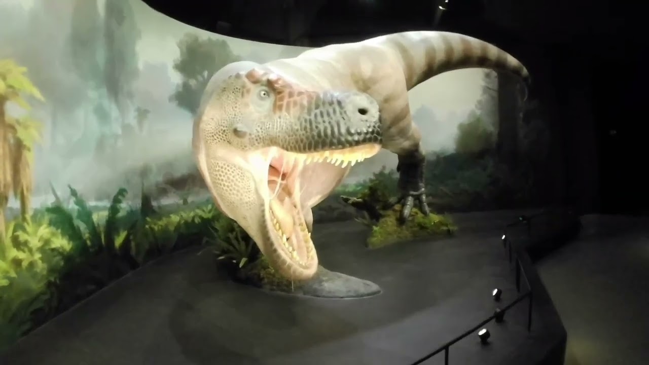 Dinosauří muzeum v Praze 🦖🦕🦕🦖🦕🦖   Dinosauria museum Prague 🦖🦕