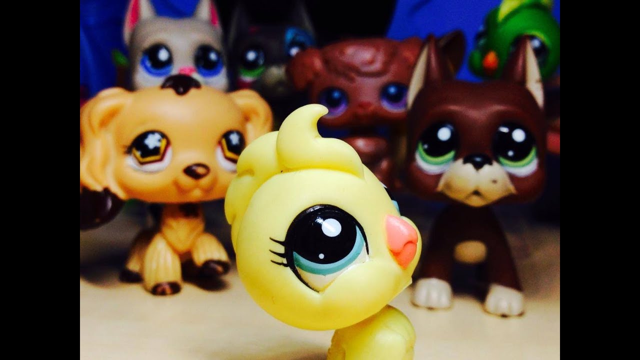 Littlest Pet Shop: Barvy života (Film)