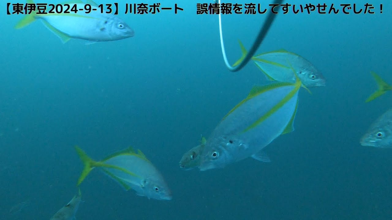 【東伊豆2024-9-13】川奈ボート　誤情報を流してすいやせんでした！