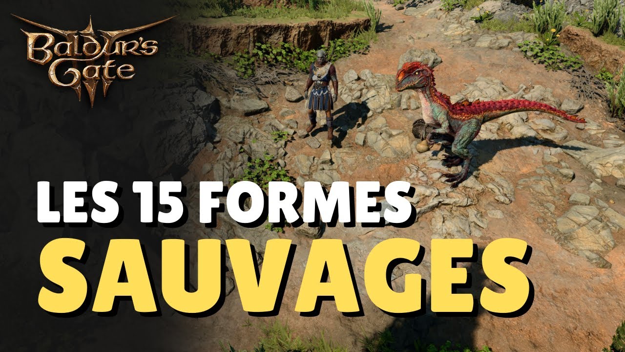 Les 15 formes sauvages du Druide - Baldur's Gate 3