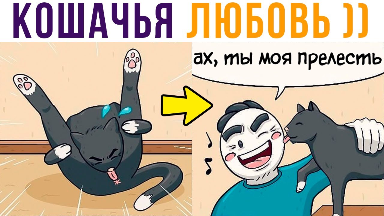 Комиксы. КОШАЧЬЯ ЛЮБОВЬ, ахахах))) | Мемозг 692