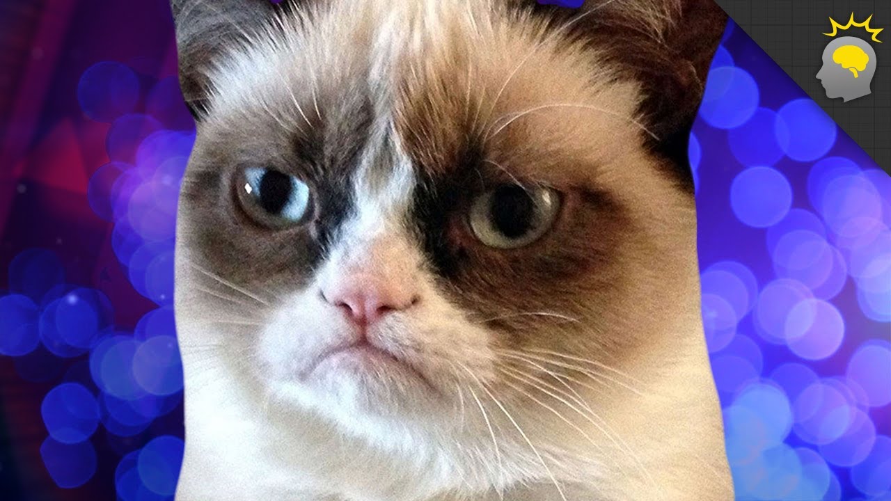 Can Meme Haz Science?! - Epic Science #38