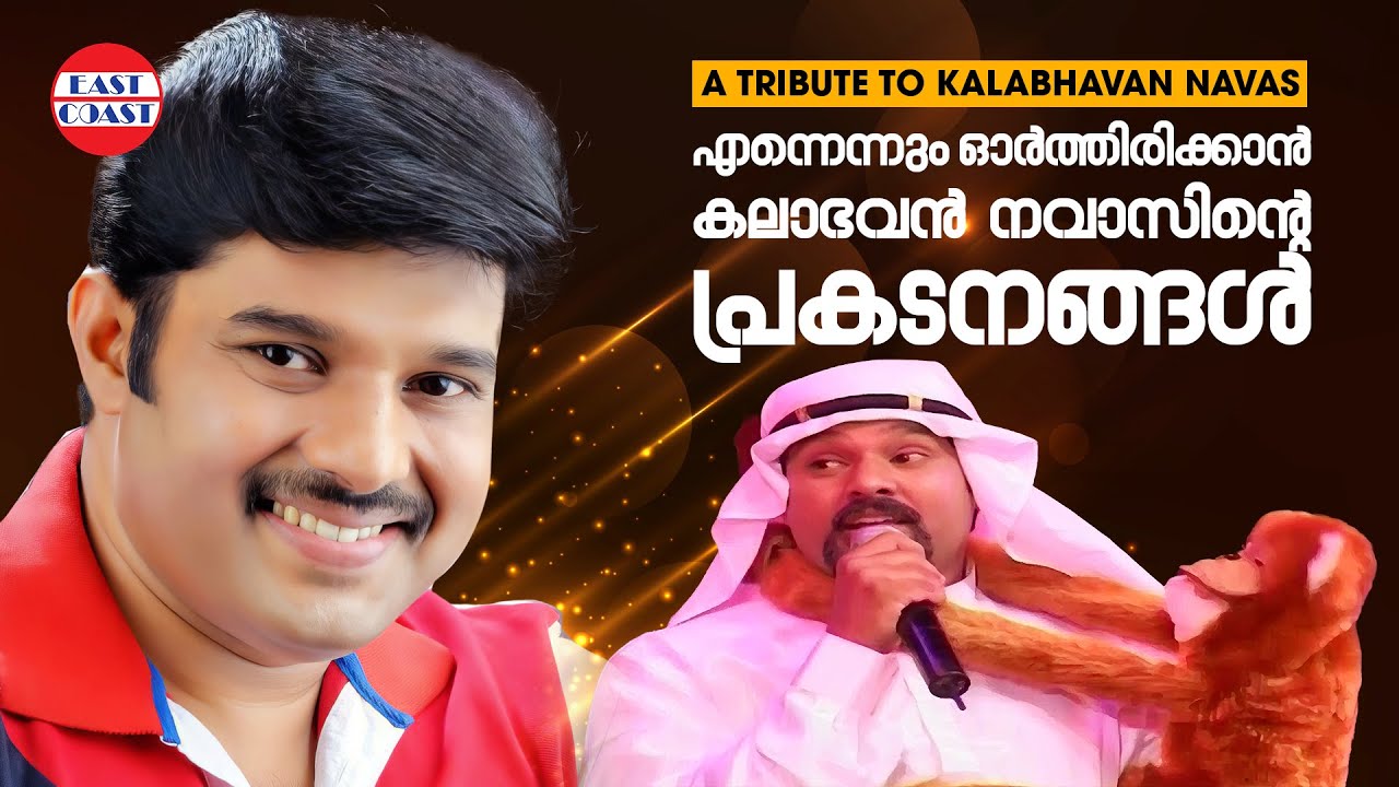 എന്നെന്നും ഓർത്തിരിക്കാൻ  കലാഭവൻ  നവാസിന്റെ പ്രകടനങ്ങൾ  | Tribute to Kalabahavan Navas