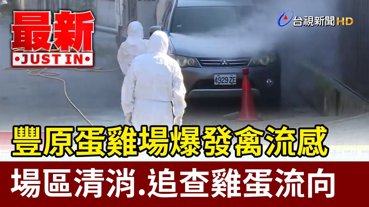 豐原蛋雞場爆發禽流感 場區清消.追查雞蛋流向【最新快訊】