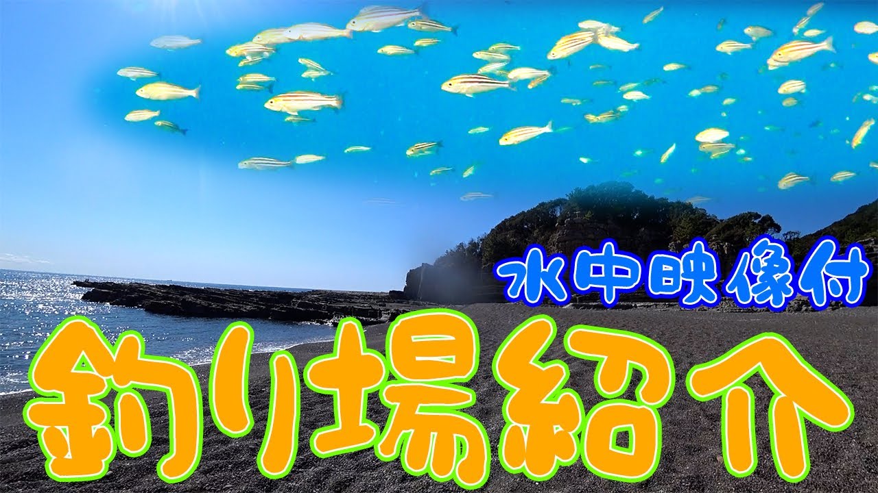 【釣り場紹介】和歌山県 白浜町【志原磯1.2】ガシラ、アイゴ、ブダイ、グレ、アオリイカ等が釣れるポイント　水中映像有り
