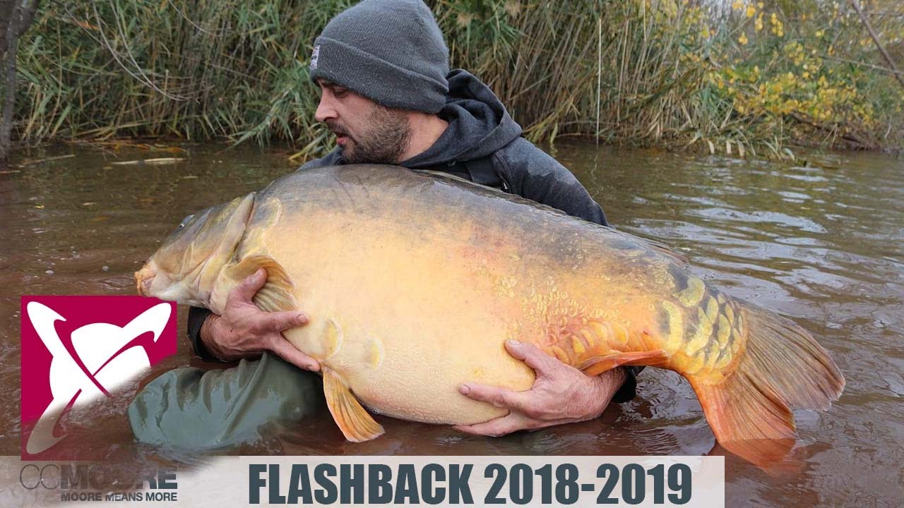 FLASHBACK 2018-2019, pêche de la carpe  (ALERTE BIG FISH)
