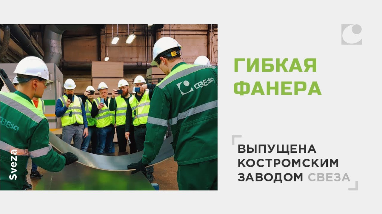 Гибкая фанера выпущена костромским заводом «Свеза»