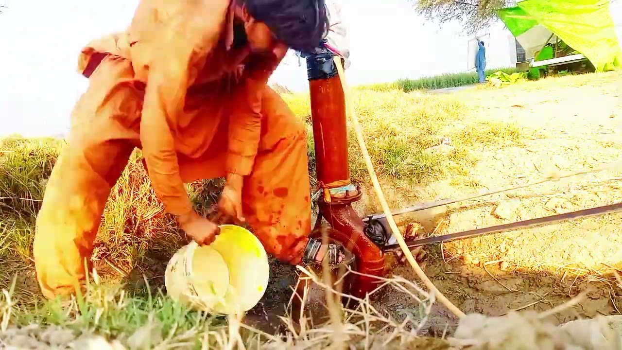 Kapas Aur Gandum Ki Fasal | Solar Pump, Thresher Aur Kisan Ki Mehnat | Village Life Vlog@VeLLaMunDa5