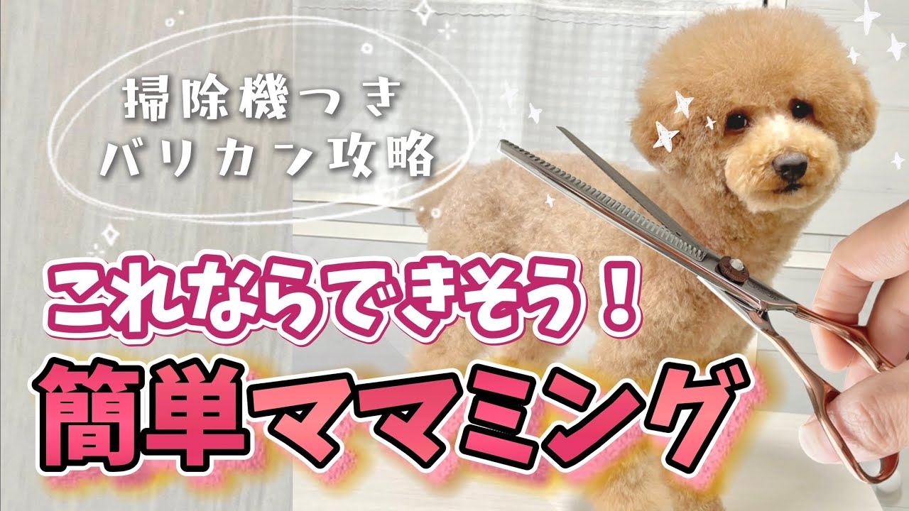 トリミングサロン代節約⋆⁎𖤐【簡単】掃除機つきバリカン完全攻略法⌇素人にもわかりやすいセルフカットのコツ⌇ママミングに挑戦したくなる動画⌇すっきりサマーカット⌇コスパ最強グルーミンググッズ紹介