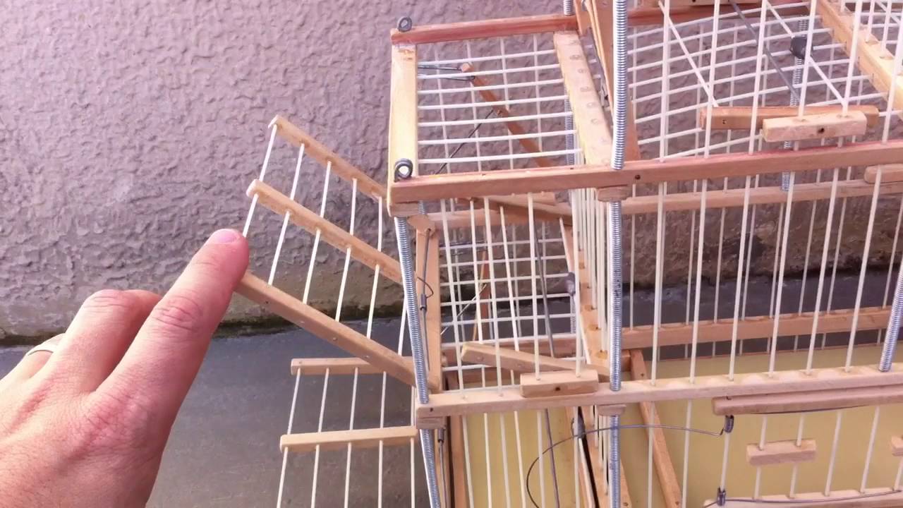 Gaiola de 6 alçapões automáticos Sergio Buiar