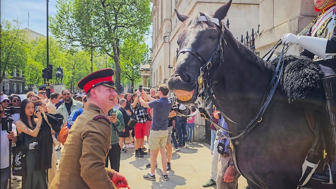 HORSE LAUGHS and MULTIPLE IDIOTS provoke LOUD SHOUTS as huge crowds arrive at Horse Guards!