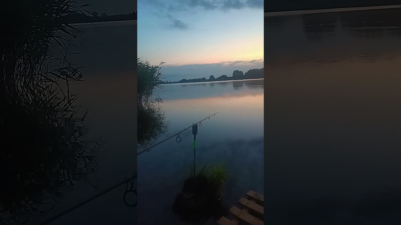 Jezioro Zbęchy PZW #fishing #pzw #wędkarstwo