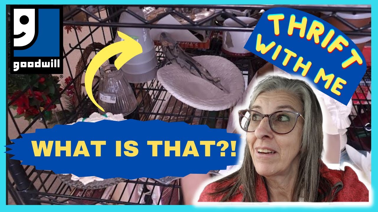 WHAT IS THAT?!  Goodwill Thrift With Me in Las Vegas