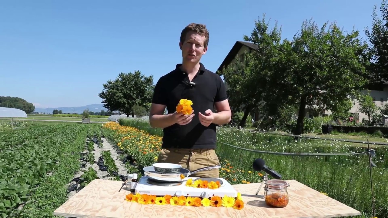 Baume à lèvres: recette facile aux fleurs de soucis