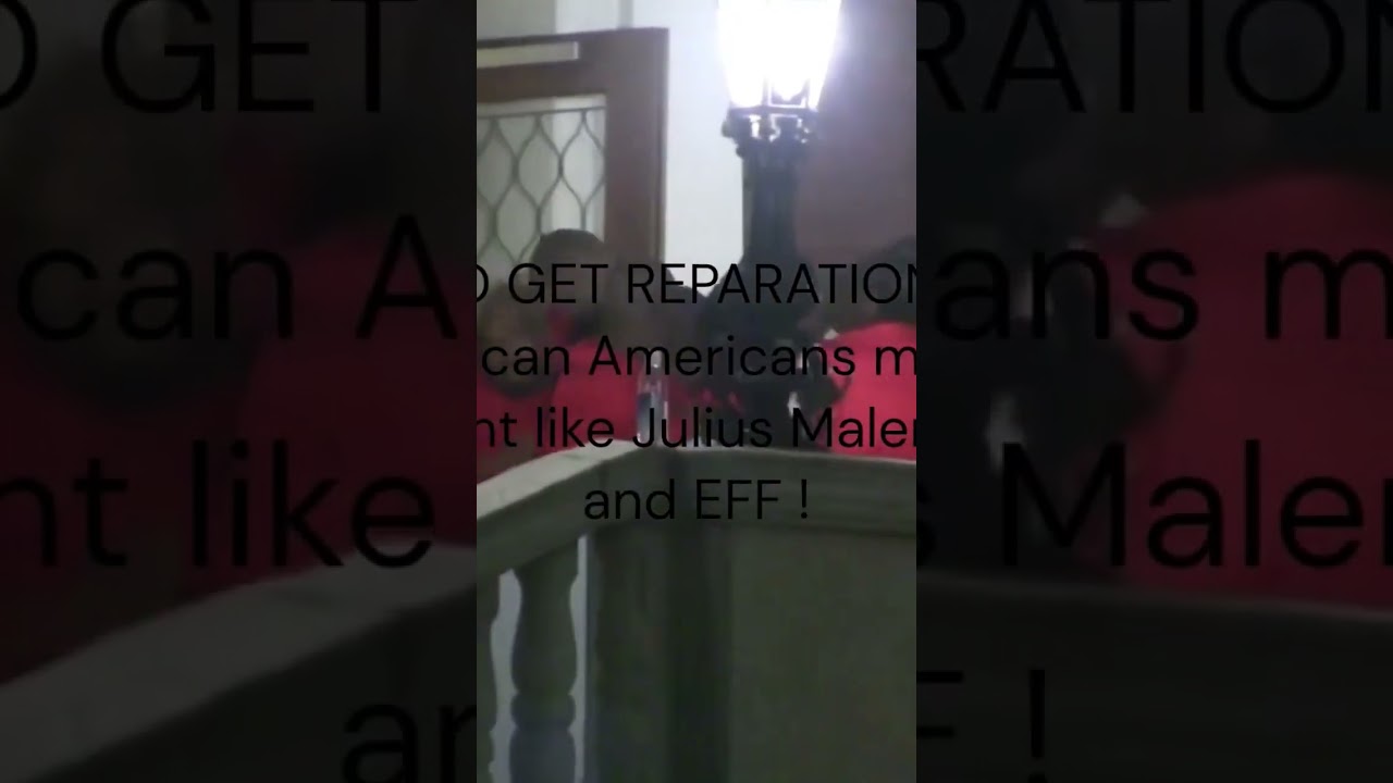 Julius Malema, to get reparations you must bring the house down!  #reparations  #blackness