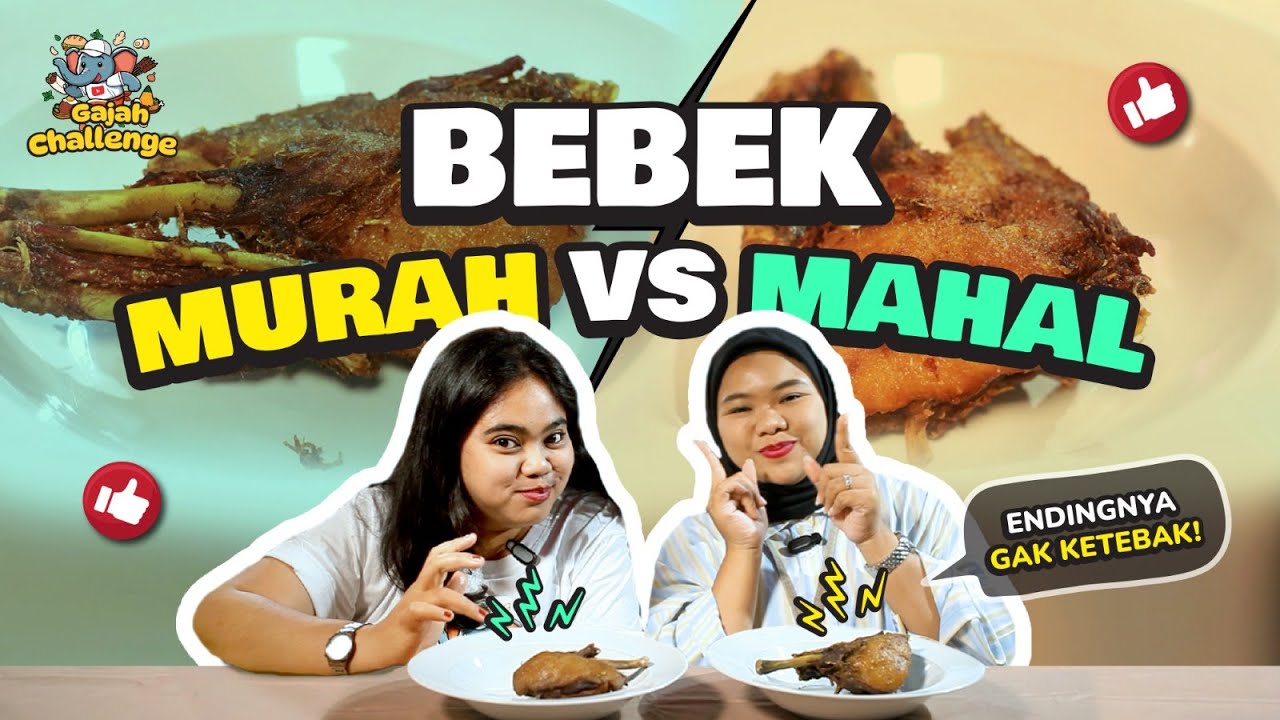 GAJAH CHALLENGE MURAH VS MEWAH! GAK NYANGKA RASANYA BEDA JAUH!