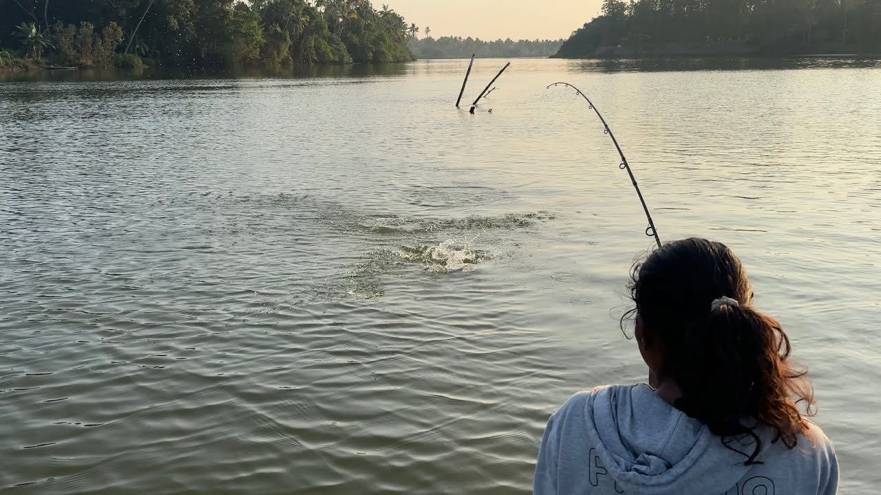 പെരിയാറിലെ ചാട്ടക്കാരനെ ആദ്യമായി പിടിച്ചപ്പോൾ 😱| Barramundi Fishing Kerala | Kalanji | youtube