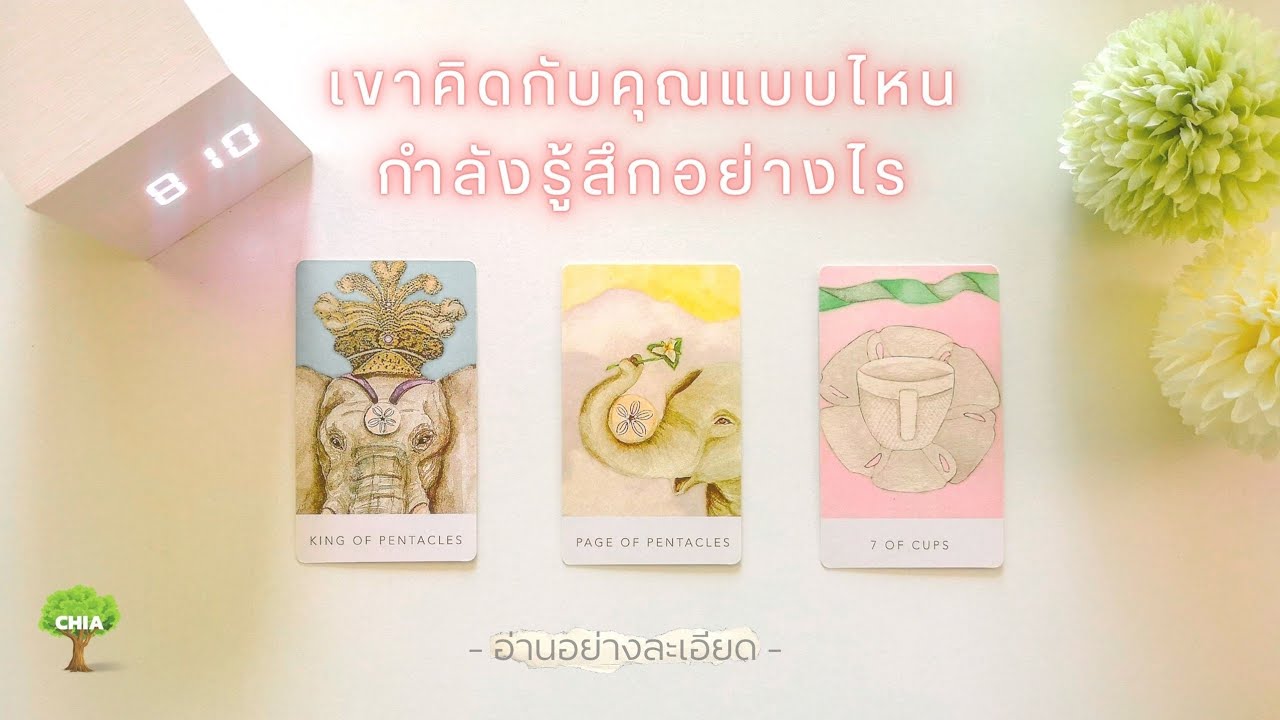 Pick a card เขาคิดกับคุณแบบไหน และ​ตอนนี้​รู้สึกอย่างไร ♡