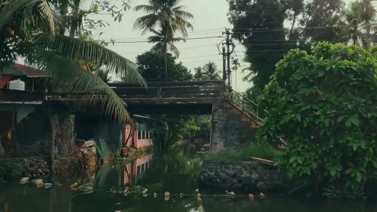 Travelling through landscape. kuttanad boating. 5 may 2024