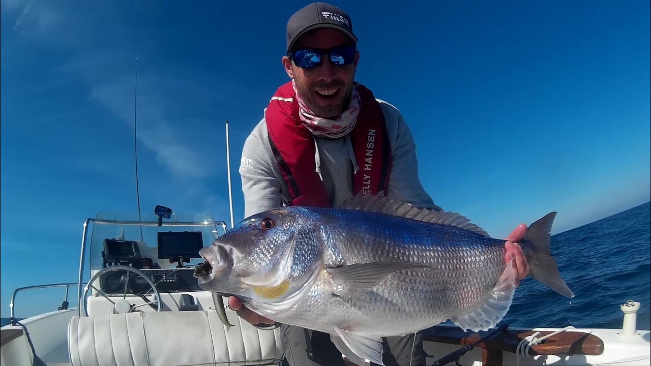 Dentex post covid! Crazy Sand Eel y Tailwalk EGgin 80MH