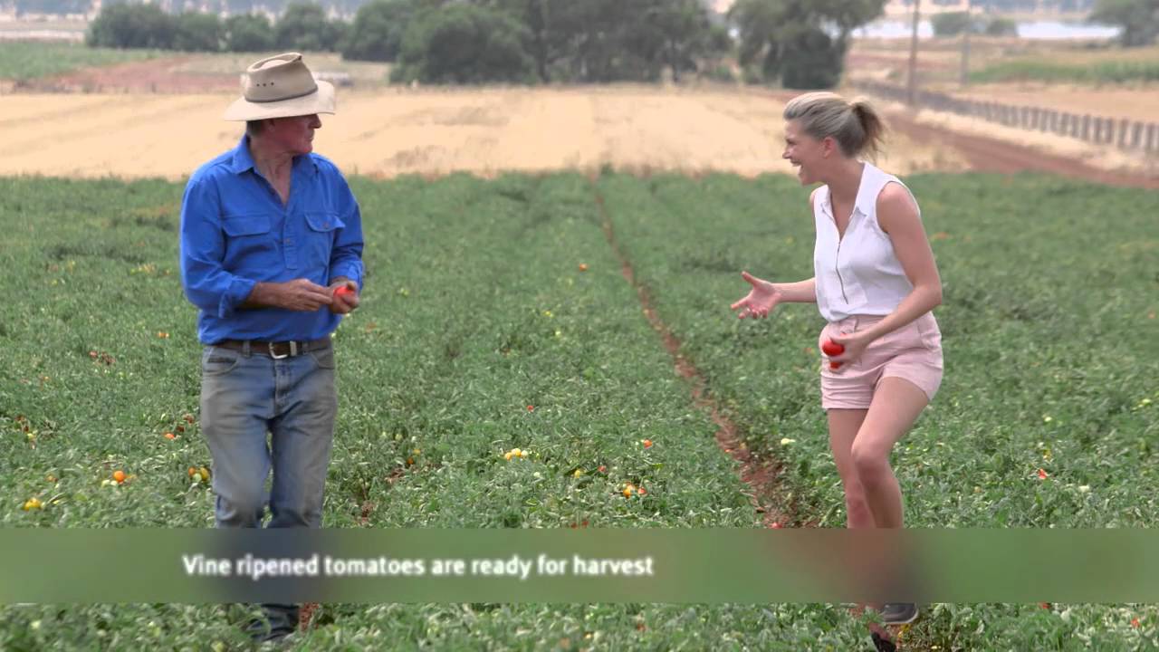 Ardmona Postcard | Everyday Gourmet S6 E2