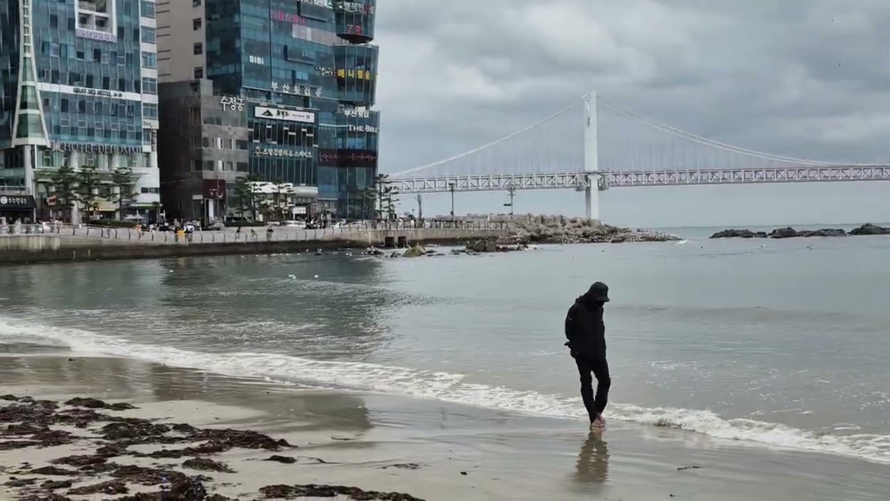 부산 광안리해수욕장에서 정월대보름을 위한 달집짓기.