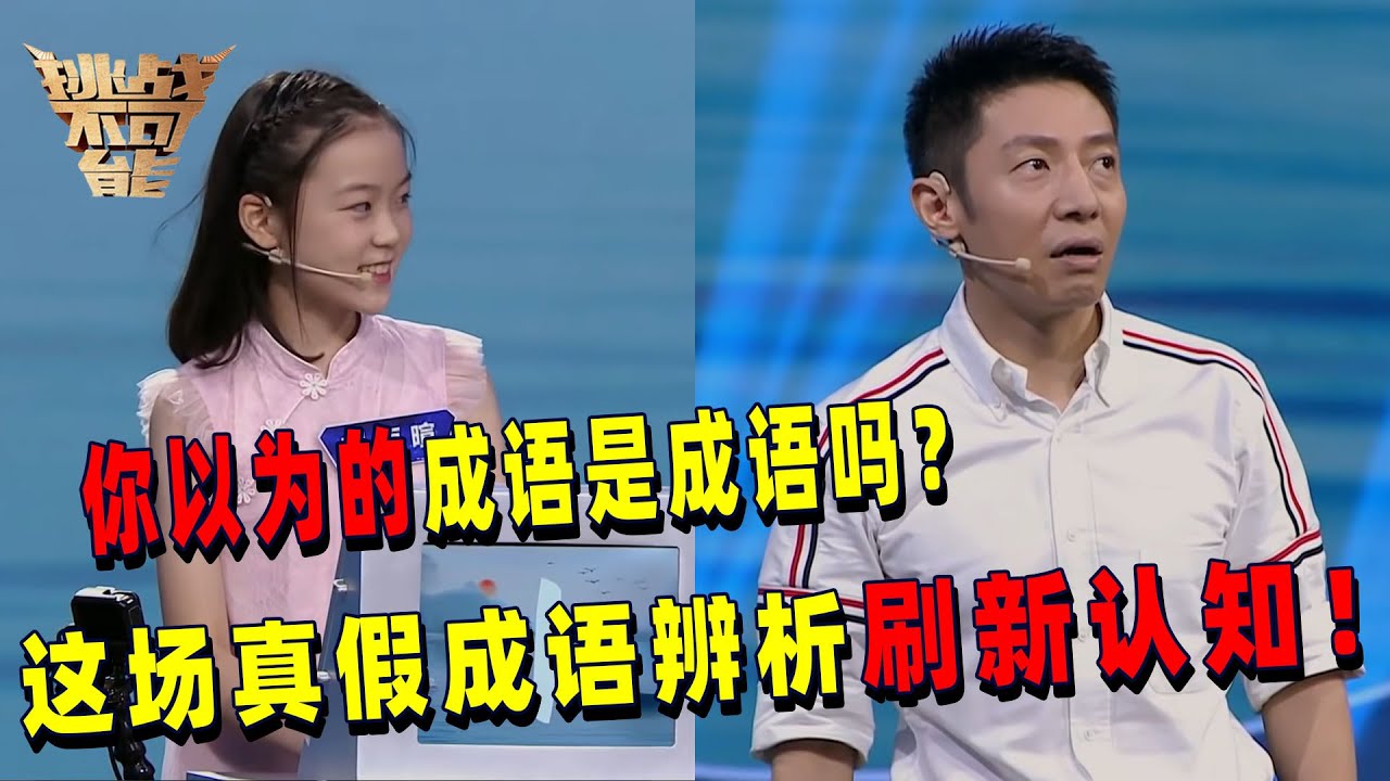 我们认为的“成语”真的是成语吗？30个成语0.5秒闪现 这场真假成语辨析绝对刷新你的认知！ | 挑战不可能 Impossible Challenge