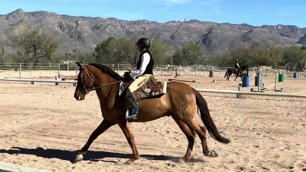 AZWEC State Finals 2025 L2 