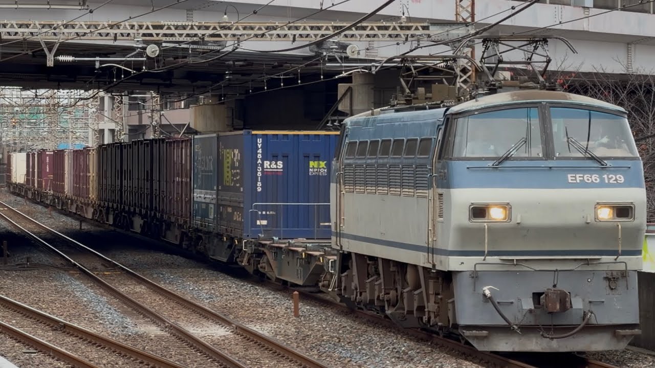 【4K高画質】【約２時間５０分遅れ】JR貨物EF66形100番台129号機〔吹〕＋コキ26両が武蔵浦和駅1番線を通過するシーン（2066レ・吹A61・コンテナ輸送）2025.11.23