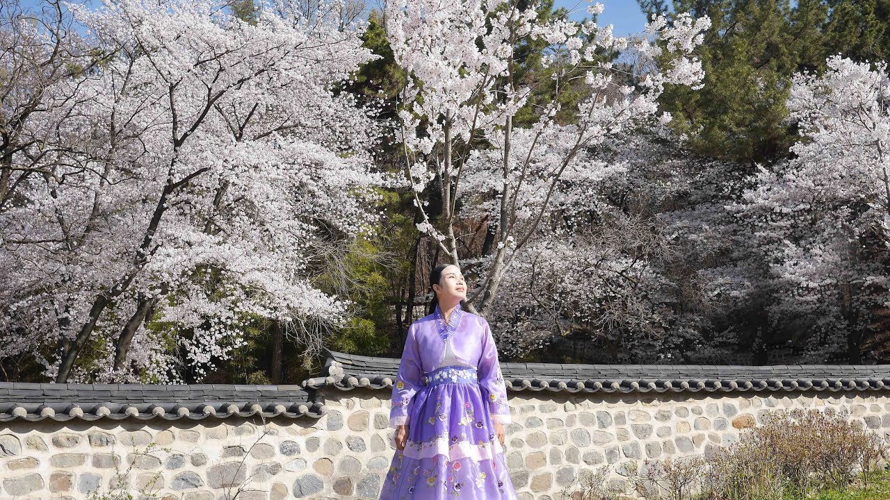 예수님 믿고서 영생하세 -  구순연 (국악찬양 벚꽃 MV)