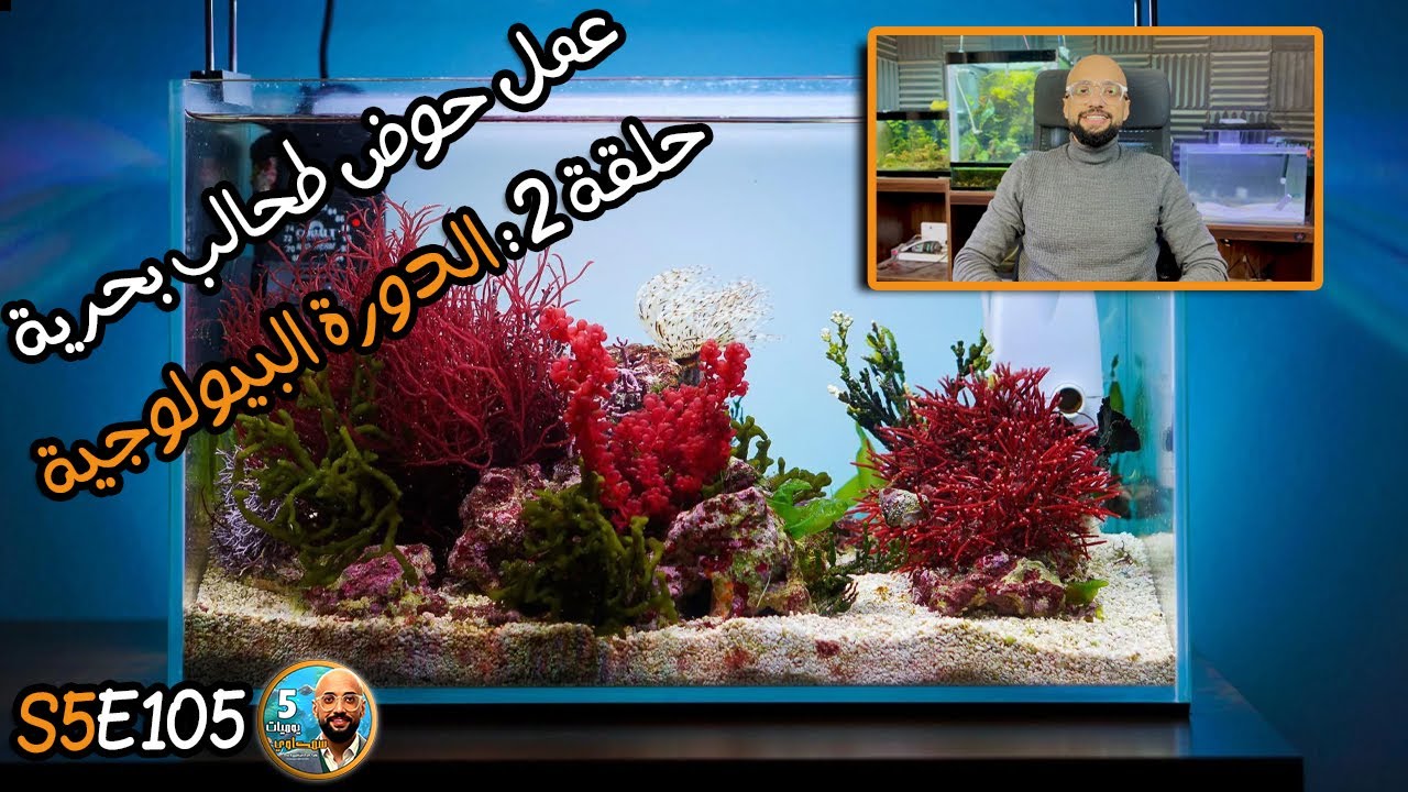 S5E105 : عمل حوض طحالب بحرية حلقة 2 : الدورة البيولوجية