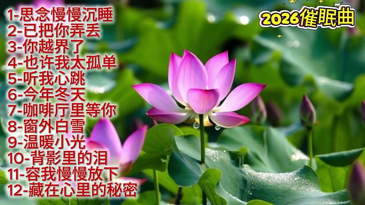 2026年度《你越界了》伤感催眠歌曲#抖音 #疗愈歌曲 #必听热门歌曲 #抒情小曲集
