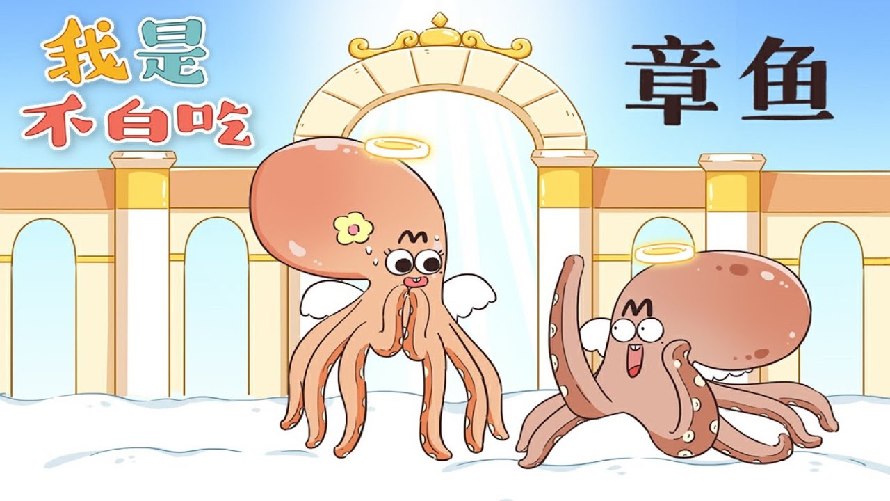【我是不白吃】 226 动物界的悲情父母丨Mr.foodie