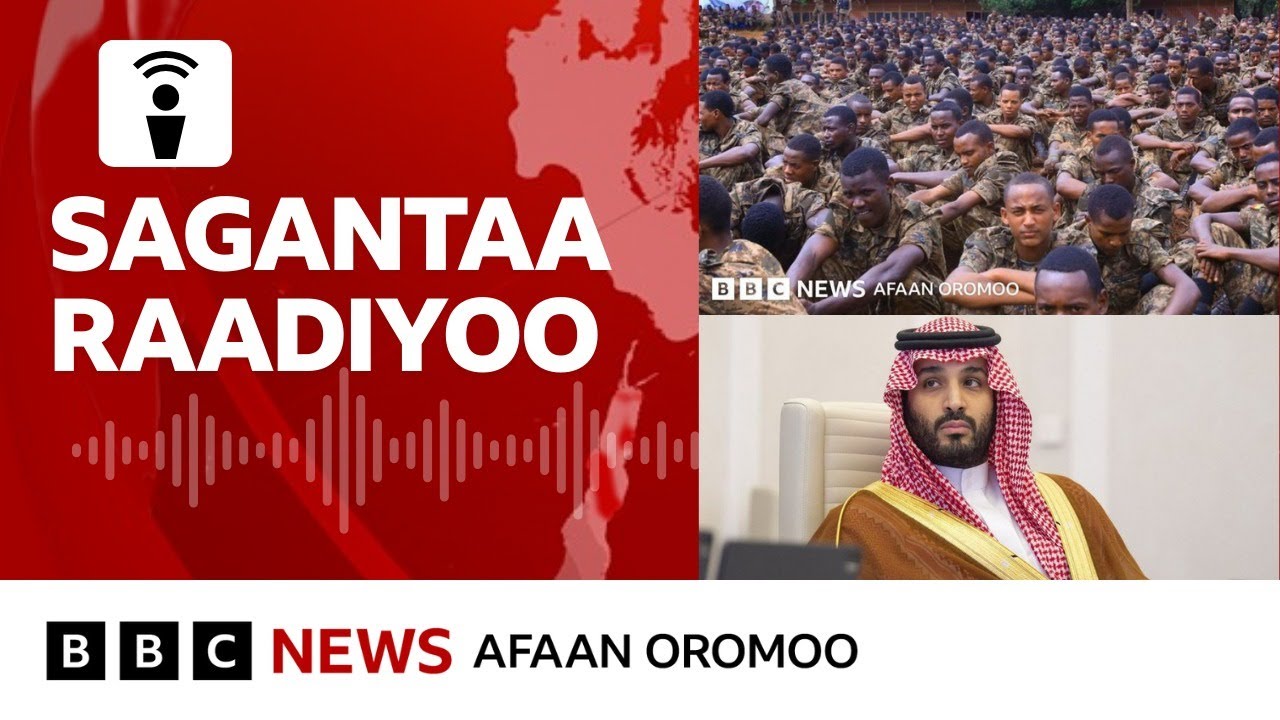 Oromiyaatti dirqiin leenjii waraanatti naqaa jiru - Maatiifi jiraattota | BBC News Afaan Oromoo