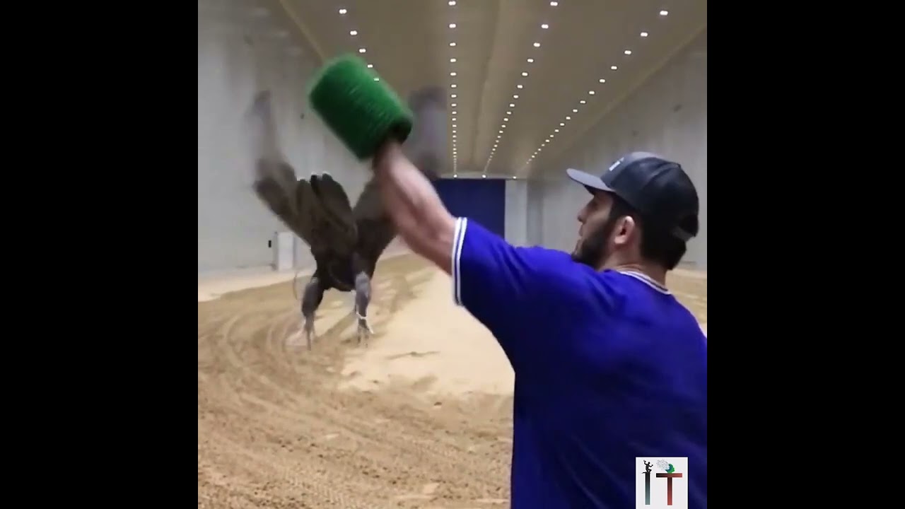 ISLAM MAKHACHEV LOVE FOR ANIMALS