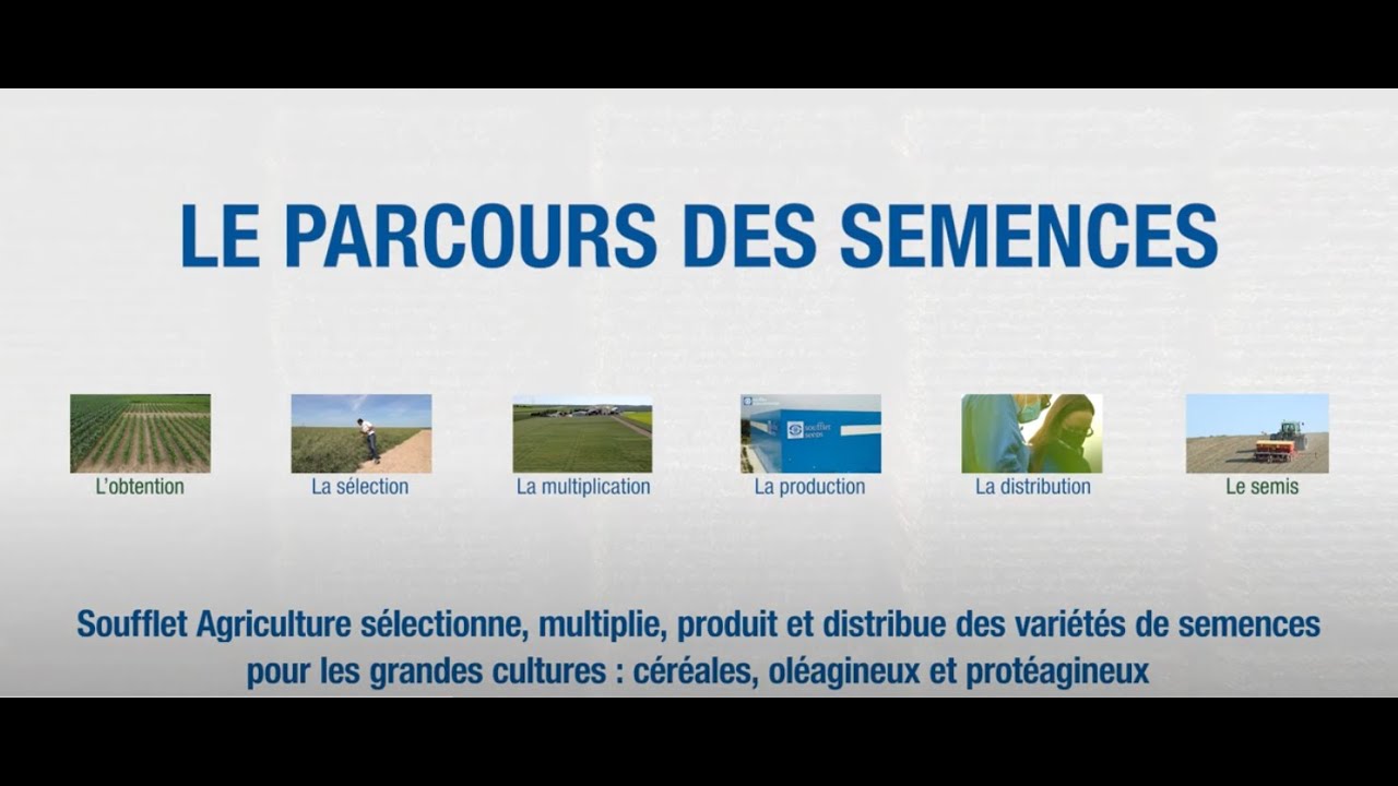 Le parcours des semences
