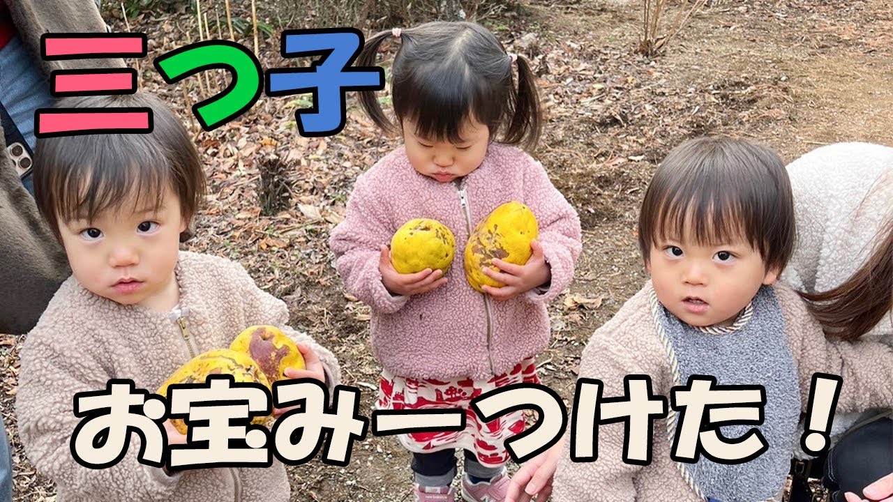 三つ子と一泊旅行で泊まった古民家宿が素敵すぎた