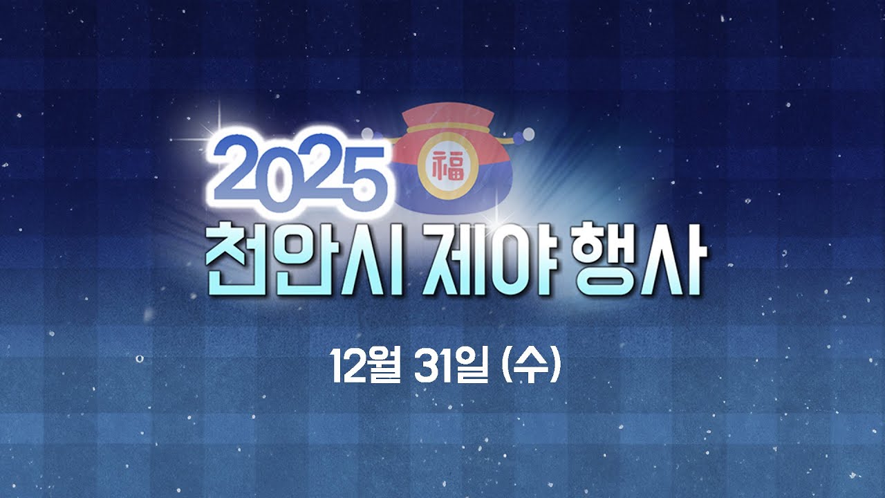 2025 천안 제야행사