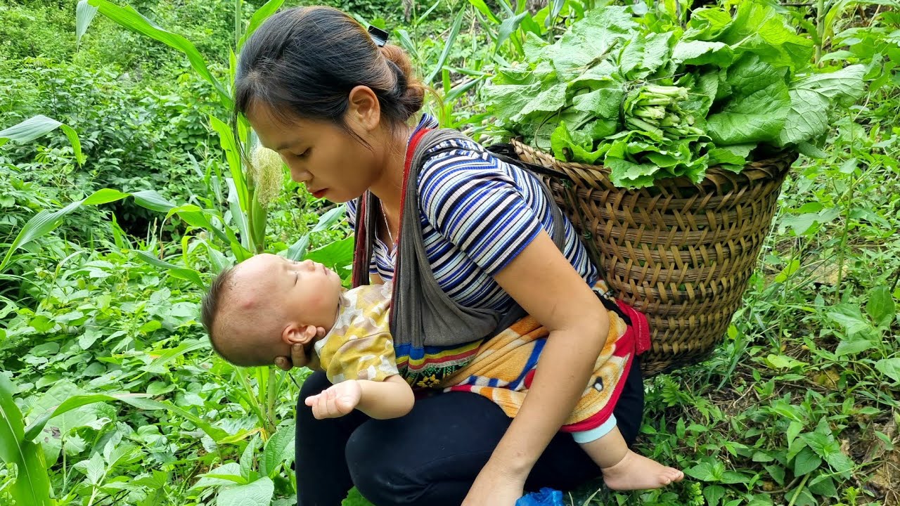 FULLVIDEO: single mother harvests green vegetables and horseshoe tubers to sell _ Daily life