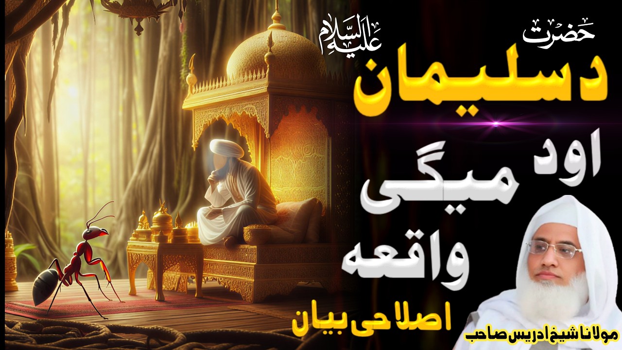 Molana Shaikh Idrees Sahib | Pashto Bayan // Da Hazrat Sulaiman AS Ao Da Meige Waqia