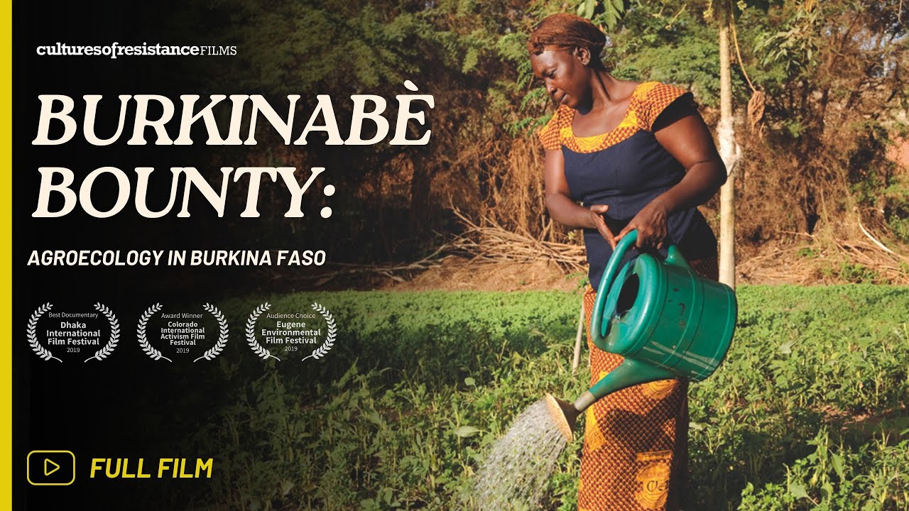 Burkinabè Bounty: Agroecology in Burkina Faso |  Documentary