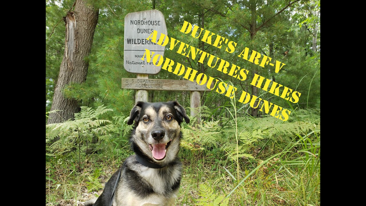 Duke's Arf-V Adventures - Nordhouse Dunes