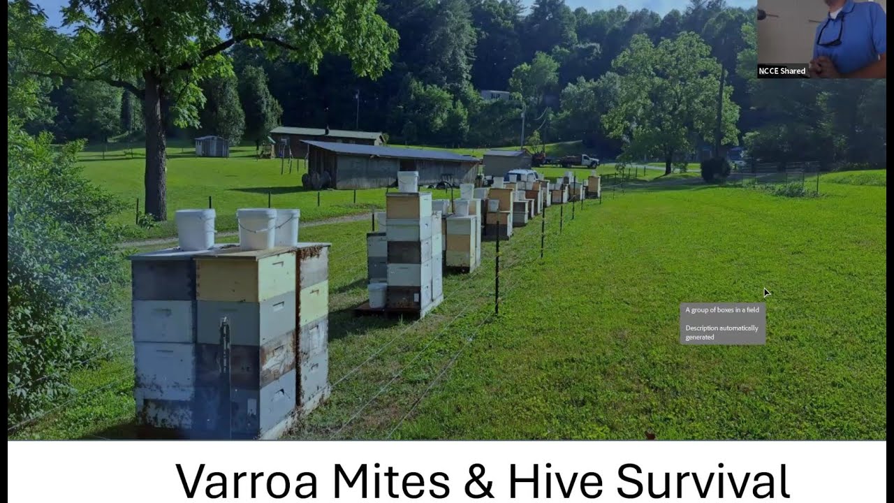 July 15 2024 Mtg | Mite Mgmt | Henderson County Beekeepers Association